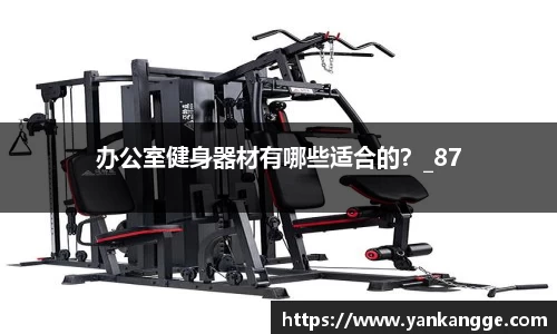 办公室健身器材有哪些适合的？_87